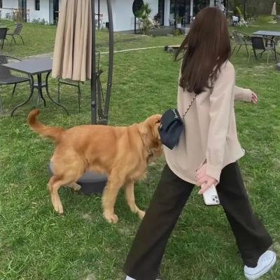 街头俏妞